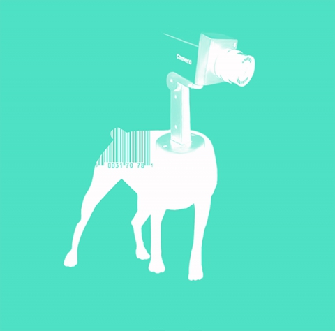 Concepto Circo - Imagen corporativa